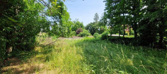 Land in Maria Enzersdorf, Austria No. 213635 4