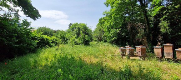 Land in Maria Enzersdorf, Austria No. 213635 3