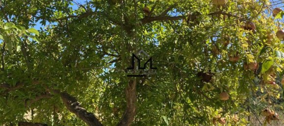 4 rooms Villa in Alcamo, Italy No. 132034 29