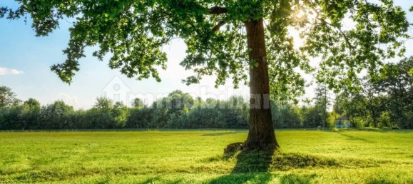 قطعة أرض في Comazzo, Italy 729متر مربع رقم 305974 24