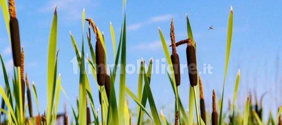 قطعة أرض في Comazzo, Italy 729متر مربع رقم 305974 22