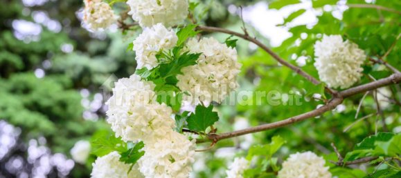 قطعة أرض في Comazzo, Italy 729متر مربع رقم 305974 23