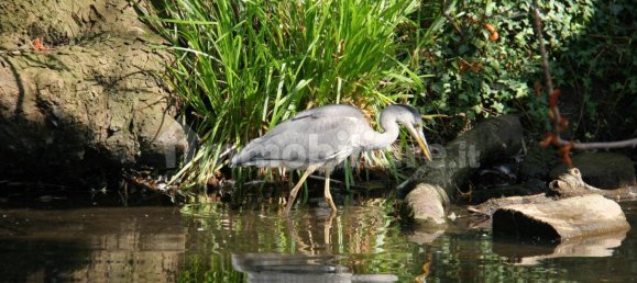 قطعة أرض في Comazzo, Italy 729متر مربع رقم 305974 17