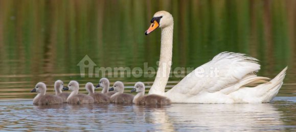 قطعة أرض في Comazzo, Italy 729متر مربع رقم 305974 20