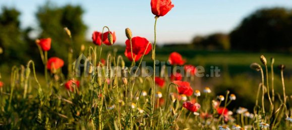 قطعة أرض في Comazzo, Italy 729متر مربع رقم 305974 15