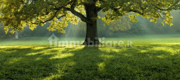 قطعة أرض في Comazzo, Italy 729متر مربع رقم 305974 25