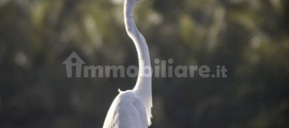 قطعة أرض في Comazzo, Italy 729متر مربع رقم 305974 18