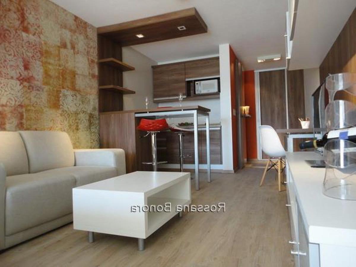 استوديو في Montevideo, Uruguay رقم 12175