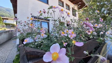 2 rooms Apartment in Aldrans, Austria No. 240071