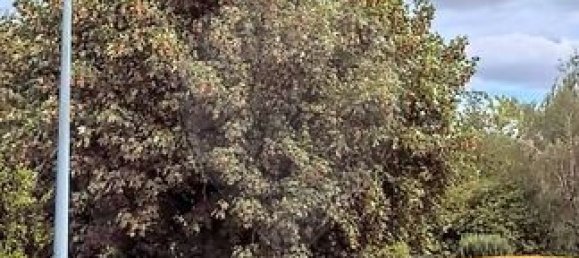 Terreno em Peltre, France 1000 m² N.º 307727 3