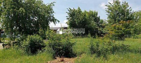  Land in Neusiedl am See, Austria No. 137293 2