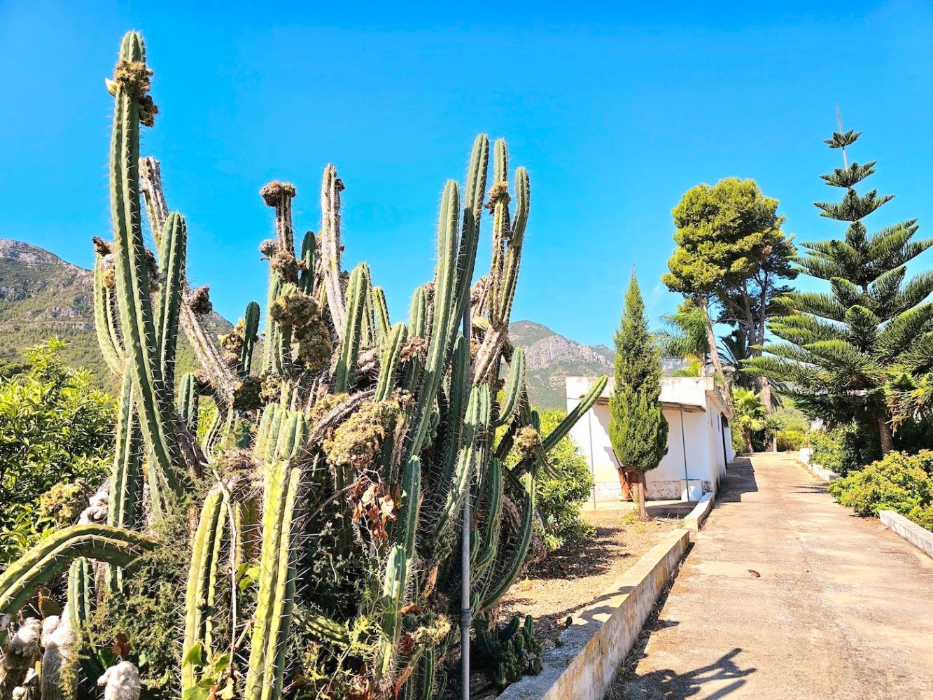 3 Schlafzimmer Haus in Valencia, Spain, Nr. 278840