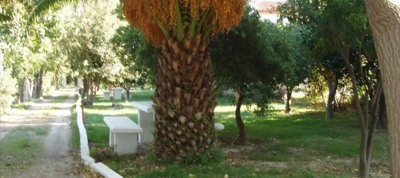 2 Schlafzimmer Gewerbliche Immobilie in Velo, Greece, Nr. 7470 8