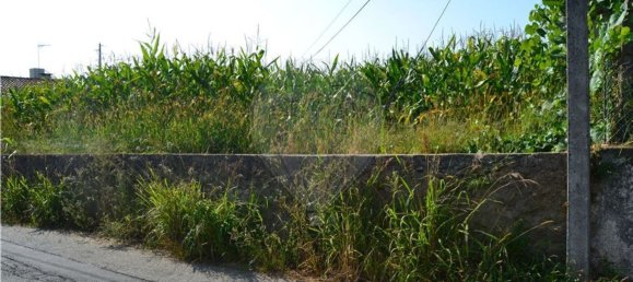 Земельный участок 1410м² в Санта Мария да Фейра, Португалия № 90458 3