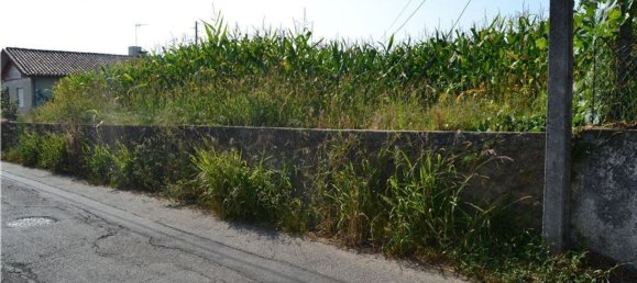 Земельный участок 1410м² в Санта Мария да Фейра, Португалия № 90458 4