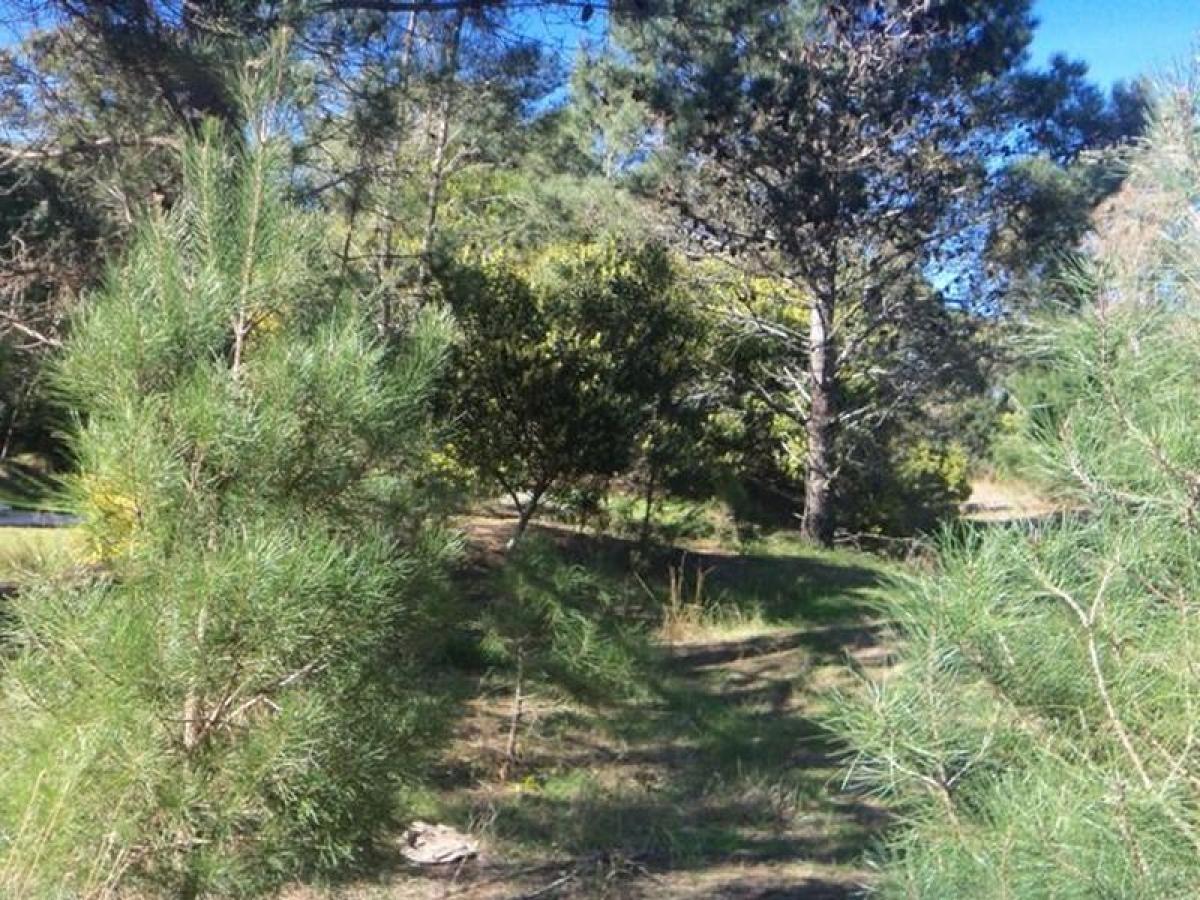 Земельный участок в Мар-дель-Плата, Аргентина № 116303