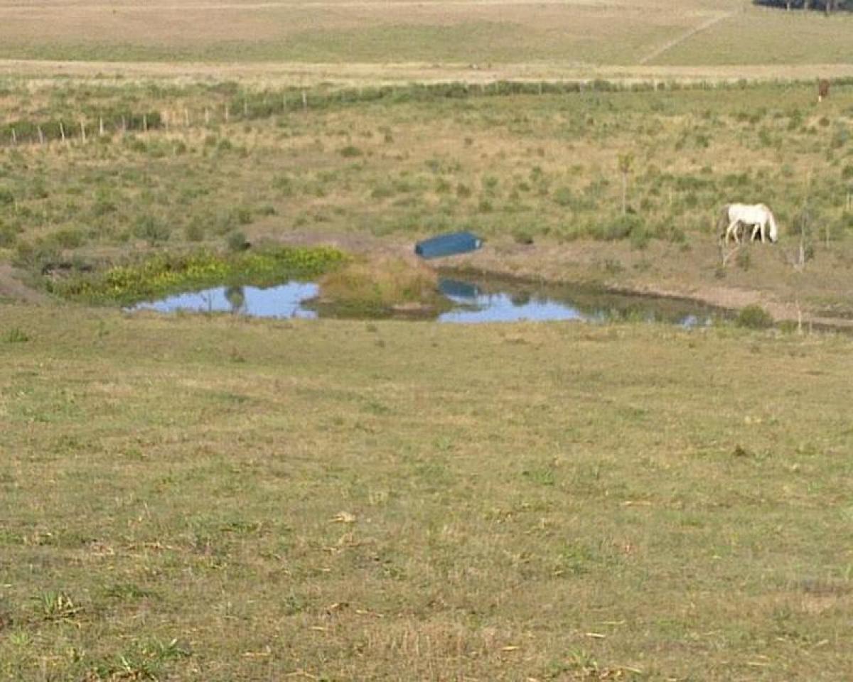 Bauernhof in Maldonado, Uruguay, Nr. 16049