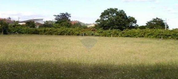 Земельный участок 11700м² в Сан Педру ду Сул, Португалия № 48373 4