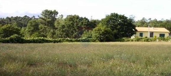 Земельный участок 11700м² в Сан Педру ду Сул, Португалия № 48373 2