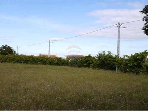 Земельный участок 11700м² в Сан Педру ду Сул, Португалия № 48373