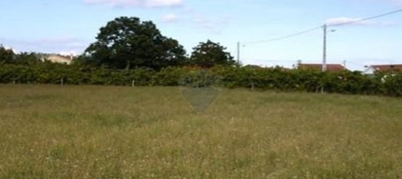 Земельный участок 11700м² в Сан Педру ду Сул, Португалия № 48373 3