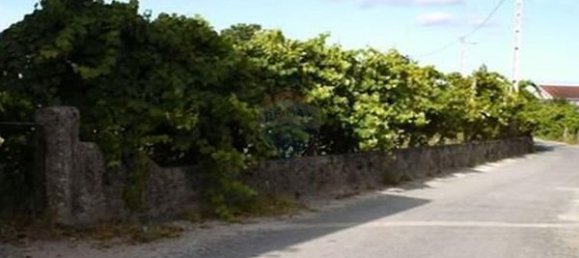 Земельный участок 11700м² в Сан Педру ду Сул, Португалия № 48373 6