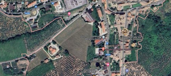 5701m² Land in Montefalco, Italy No. 47301 16