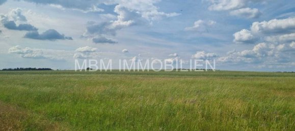 4 bedrooms Land in Bautzen, Germany No. 131399 8