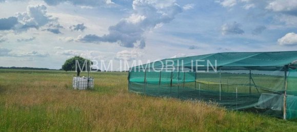 4 bedrooms Land in Bautzen, Germany No. 131399 9