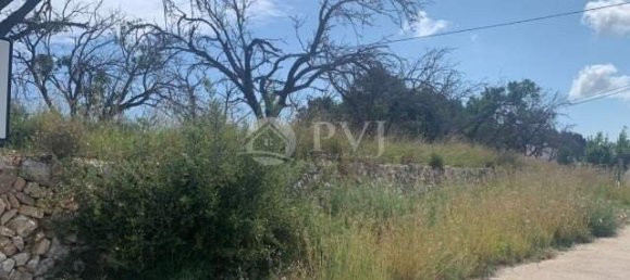  Land in Javea, Spain No. 284847 2