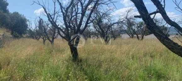  Land in Javea, Spain No. 284847 4