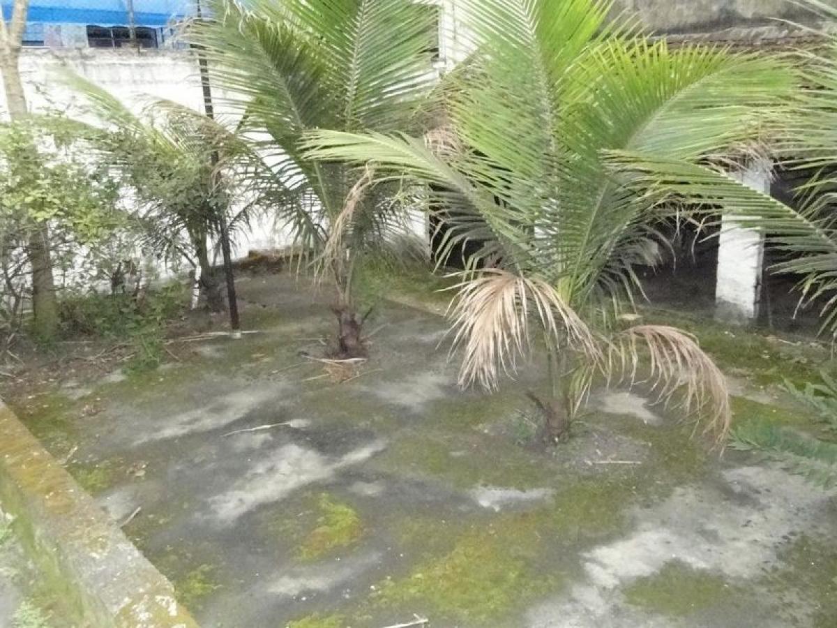 4 Schlafzimmer Haus in Sao Paulo, Brazil, Nr. 453619