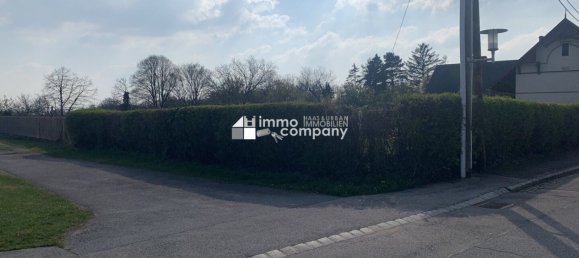 Grundstück in Bockfließ, Austria 877m², Nr. 128025 2