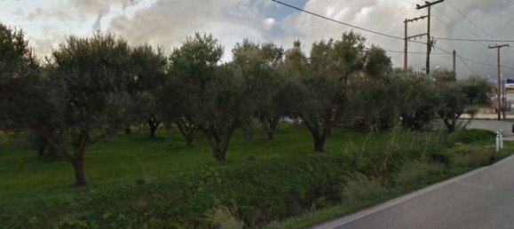  Hotel in Zakynthos, Greece No. 509 4