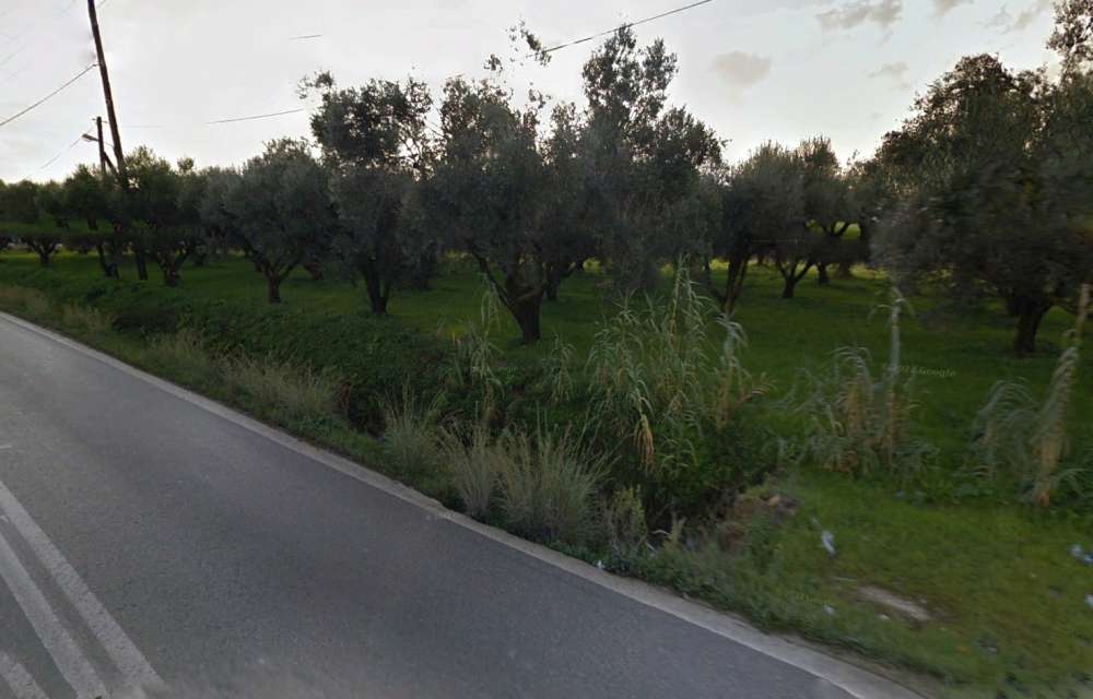  Hotel in Zakynthos, Greece No. 509