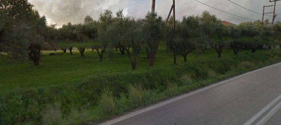  Hotel in Zakynthos, Greece No. 509 6