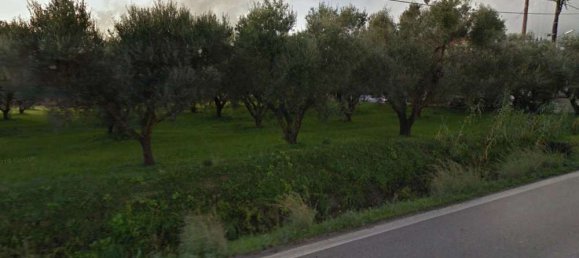  Hotel in Zakynthos, Greece No. 509 3