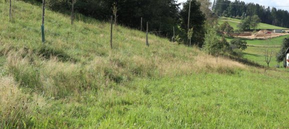  قطعة أرض في St. Georgen am Walde, Austria رقم 104473 3