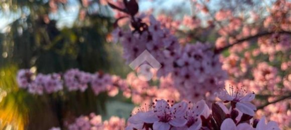 4 bedrooms Villa in Cirié, Italy No. 150290 3