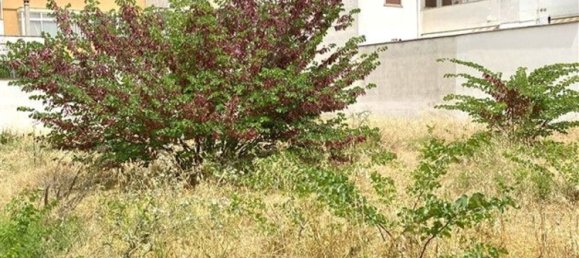 642m² Land in Galatone, Italy No. 161652 6