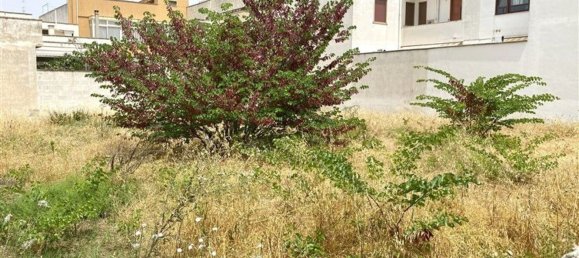 642m² Land in Galatone, Italy No. 161652 7