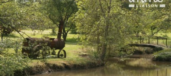 9 bedrooms House in Saint-Fargeau, France No. 353267 14