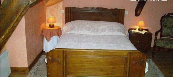 9 bedrooms House in Saint-Fargeau, France No. 353267 19