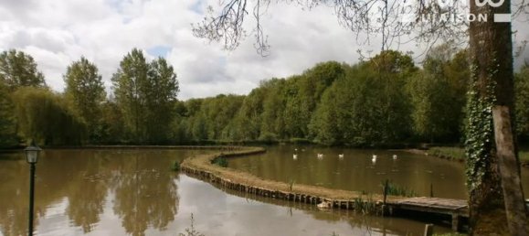 9 bedrooms House in Saint-Fargeau, France No. 353267 12