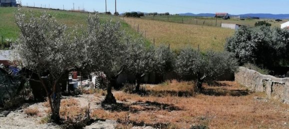 Casa T1 em Moura, Portugal N.º 183284 4
