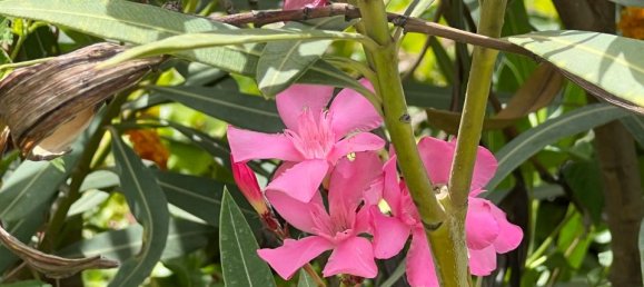 3 bedrooms House in Malaga, Spain No. 63125 24