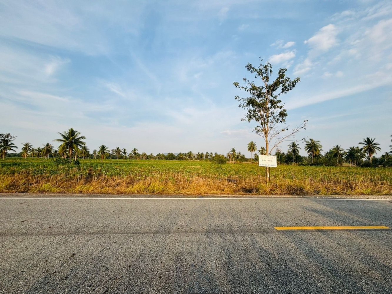 Grundstück in Pattaya, Thailand 4572m², Nr. 74297