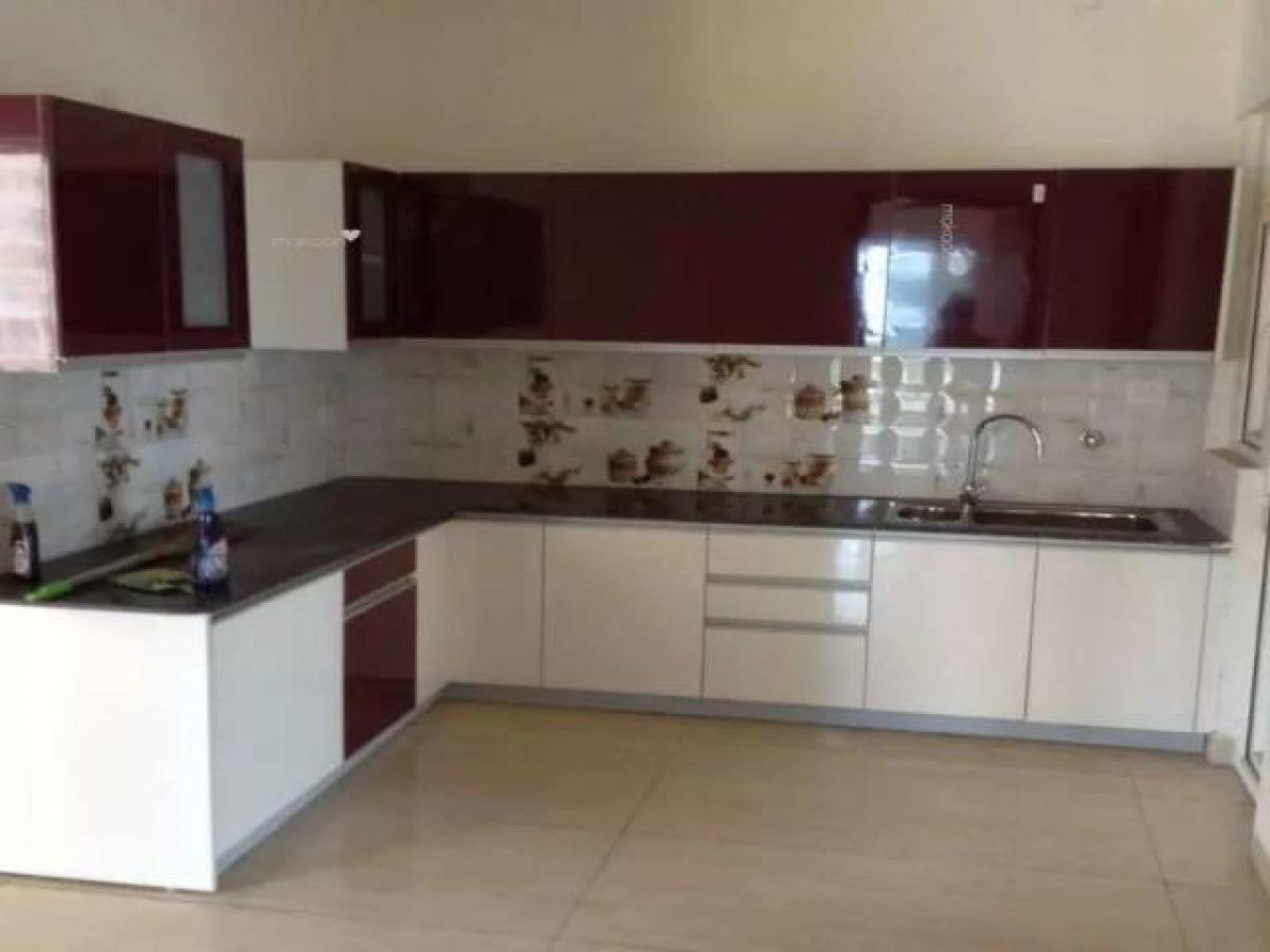 Studio in Noida, India, Nr. 24160