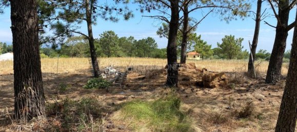 7125m² Land in Sesimbra, Portugal No. 91365 6