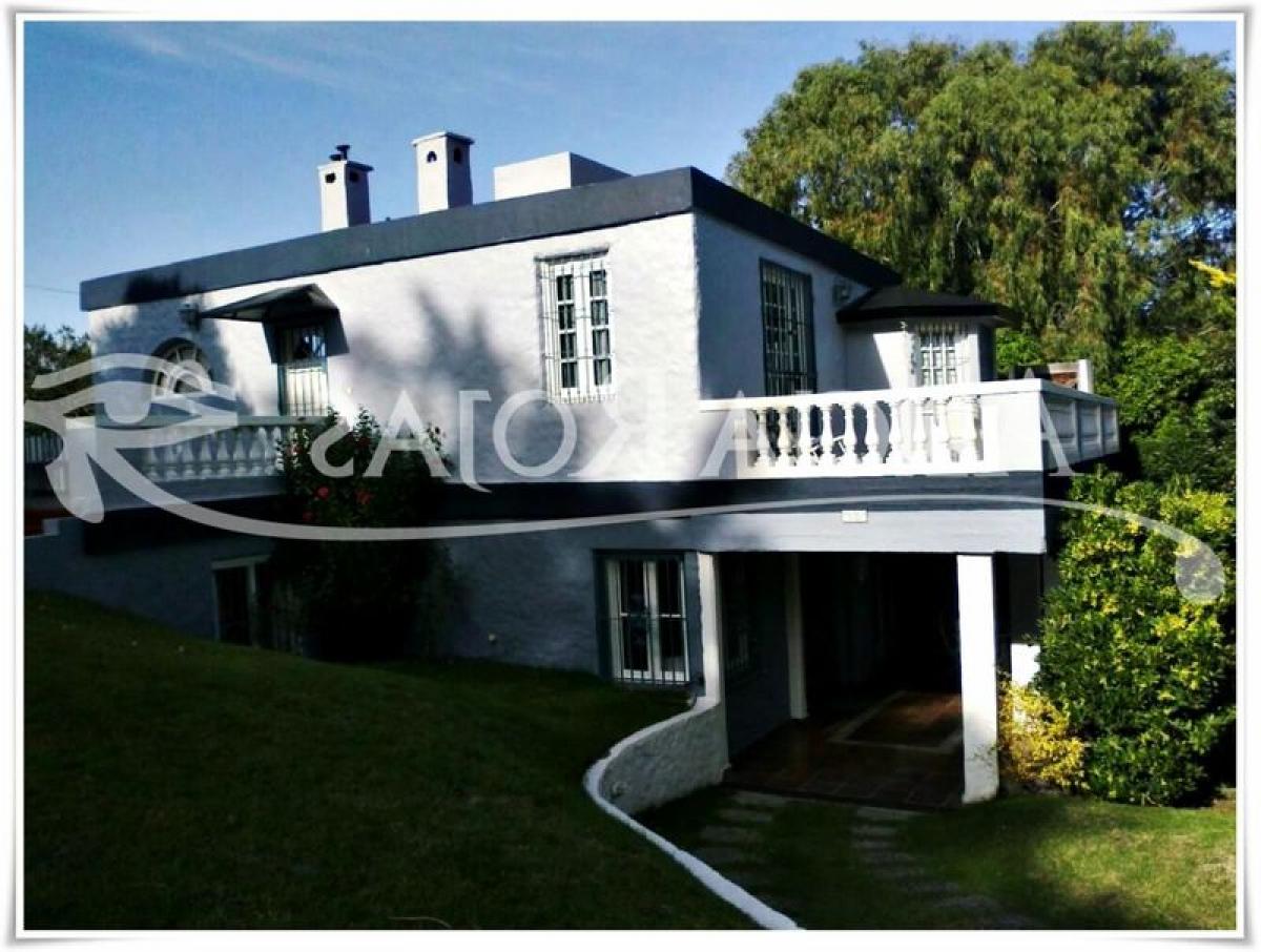 5 bedrooms House in Mar del Plata, Argentina No. 96797